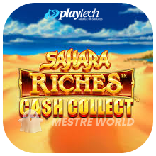 PLAYTECH243